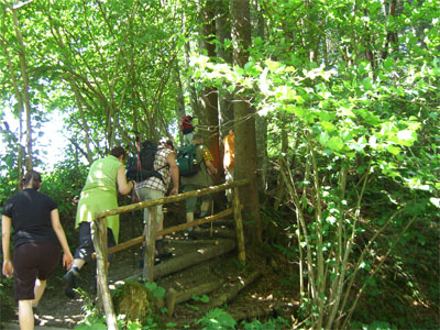 Durch den Wald entlag der Gunzesrieder Ach Richtung Gunzesried Säge