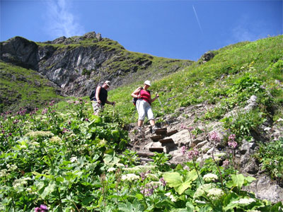 unter dem Laufbachereck