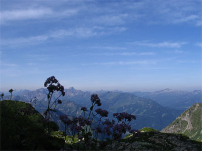 Blick auf den Ifen