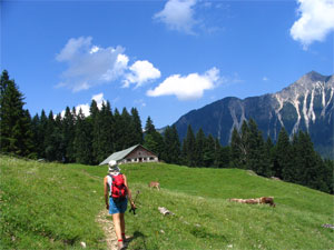 Möslealpe bei Hinterstein