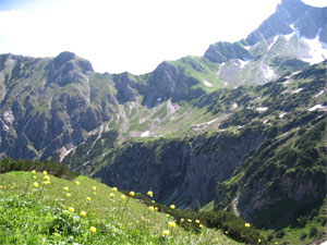 Trollblumen