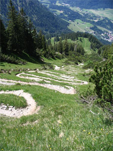 Abstieg zur Seealpe 