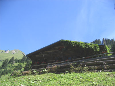 Traufbergalpe bei Oberstdorf